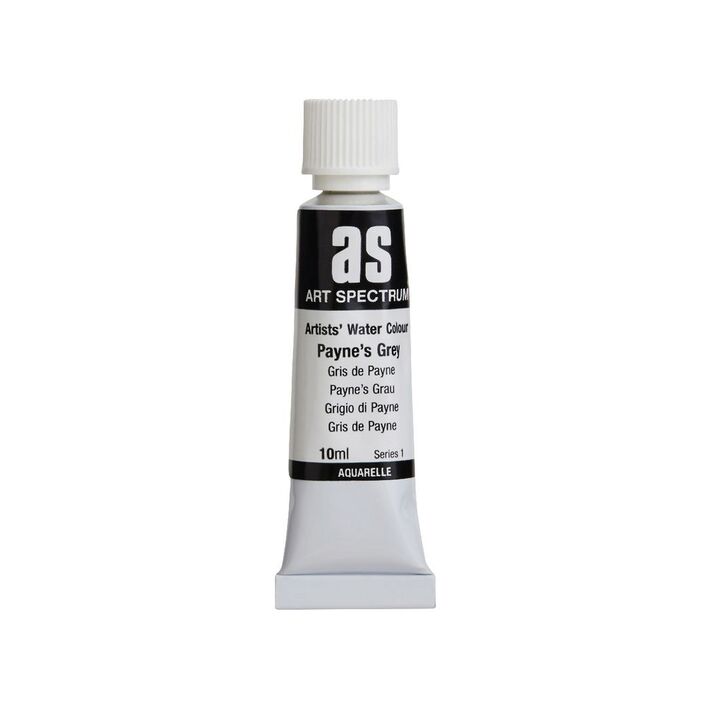 W/COL AS ARTIST PAYNES GREY S1 10ML
