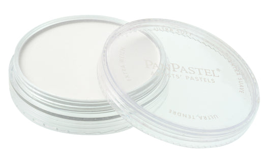 PASTEL PANPASTEL TITANIUM WHITE 100.5