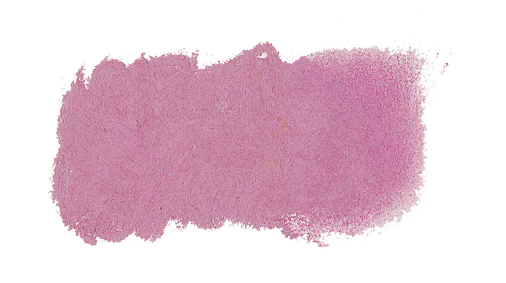 PASTEL AS V513 BORDEAUX