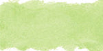 PASTEL AS V573 GRASS GREEN