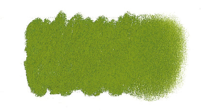 PASTEL AS P580 AUS. LEAFGREEN/LIGHT