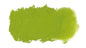 PASTEL AS T580 AUST LEAF GREEN/LT