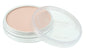 PASTEL PANPASTEL BURNT SIENNA 740.8