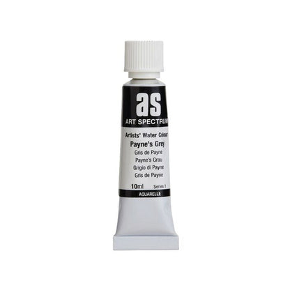 W/COL AS ARTIST PAYNES GREY S1 10ML